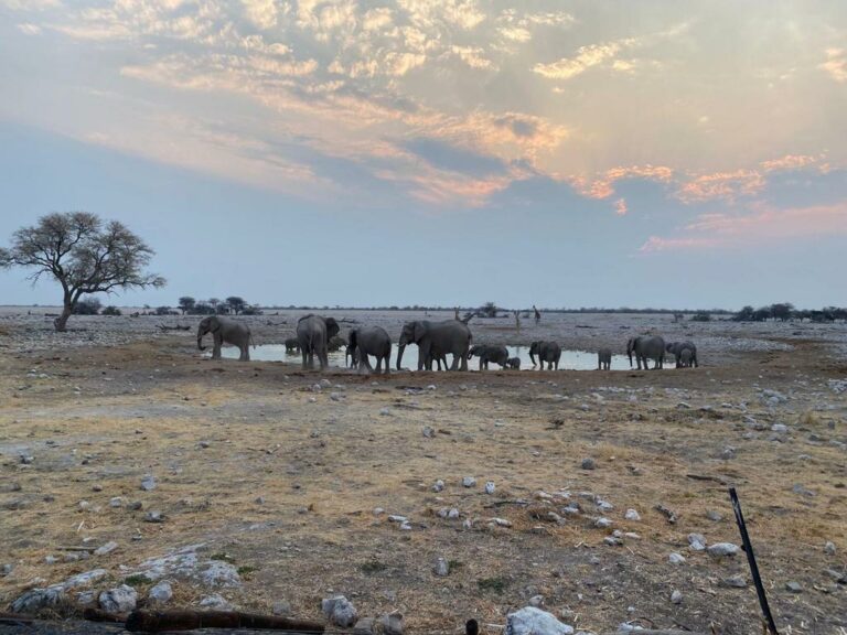 Namibia(32)