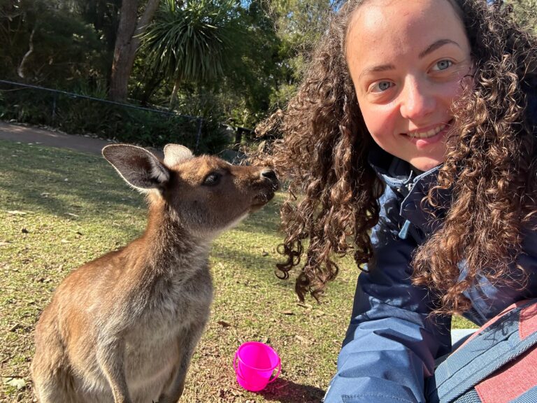 69a39ab3-4147-477d-840c-11c52d2cee33