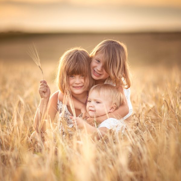 Three girls sisters walk in the field with rye at sunset, happiness and freedom, lifestyle and selective focus